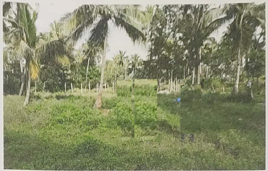 course